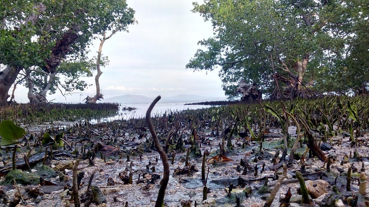 Jonaths Cottage Bunaken Εξωτερικό φωτογραφία